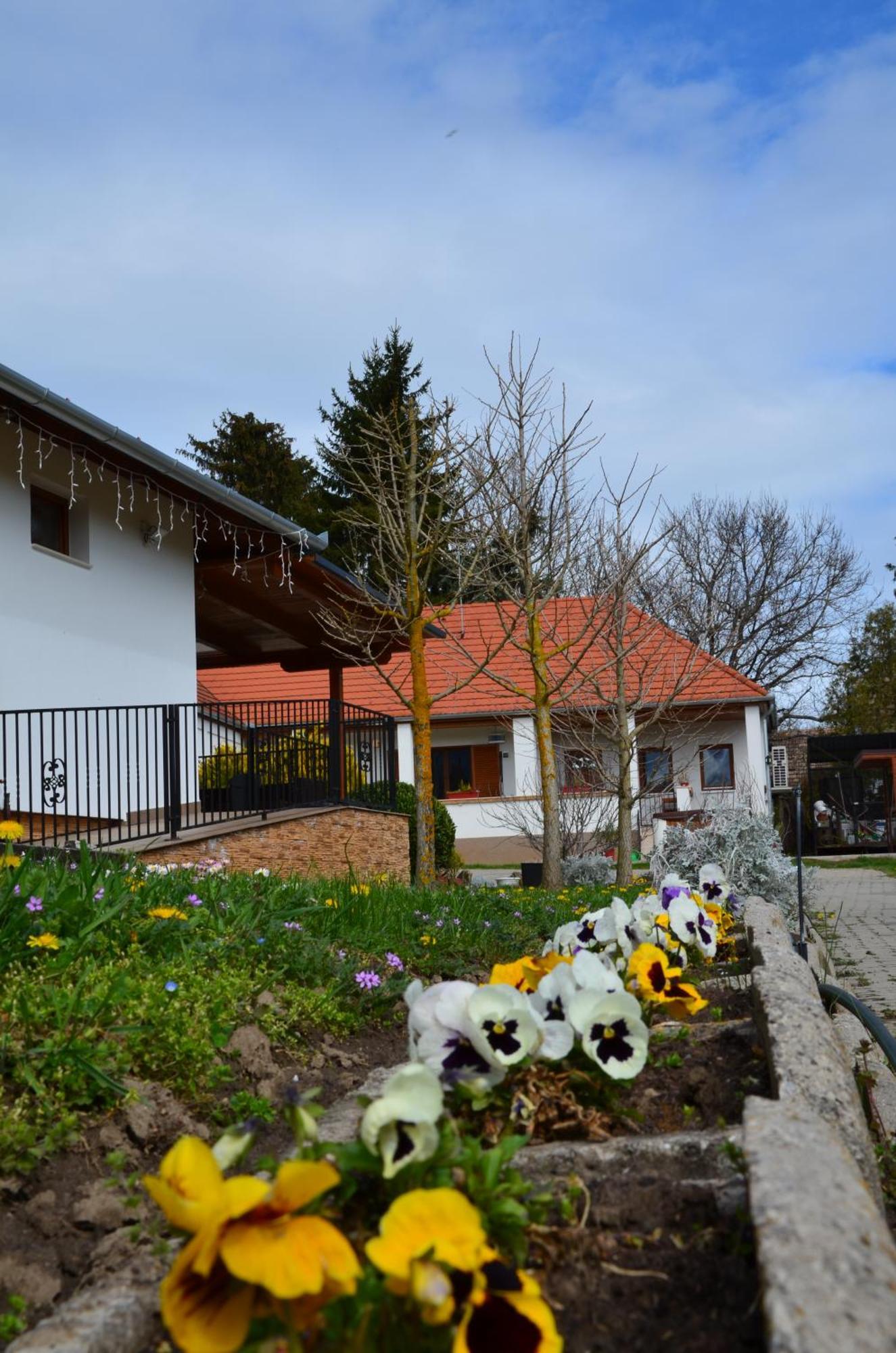 Hotel Kerekerdo Vendeghaz à Kisszékely Extérieur photo